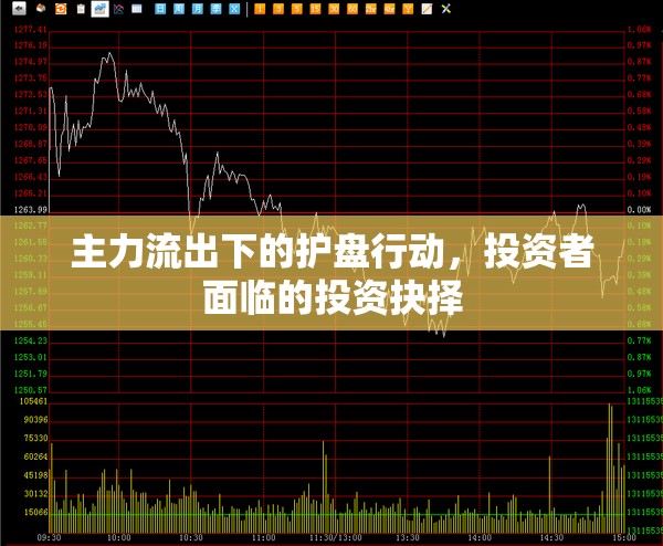 主力流出下的護(hù)盤(pán)行動(dòng)，投資者面臨的投資抉擇