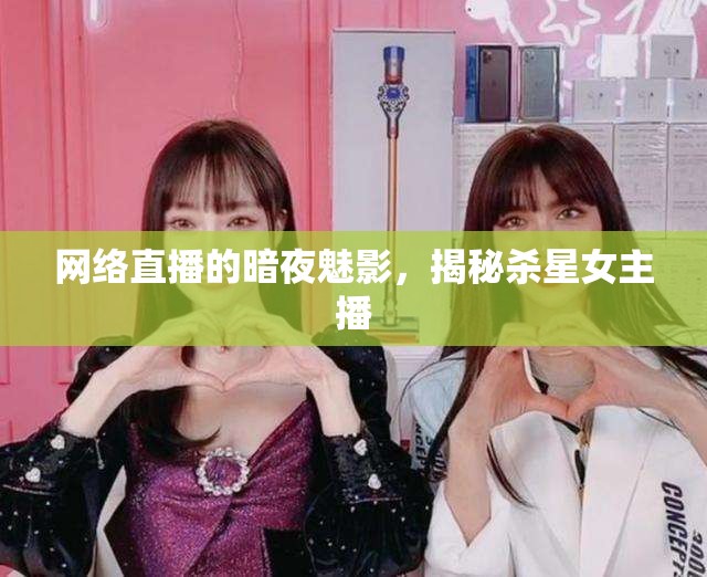 網(wǎng)絡(luò)直播的暗夜魅影，揭秘殺星女主播