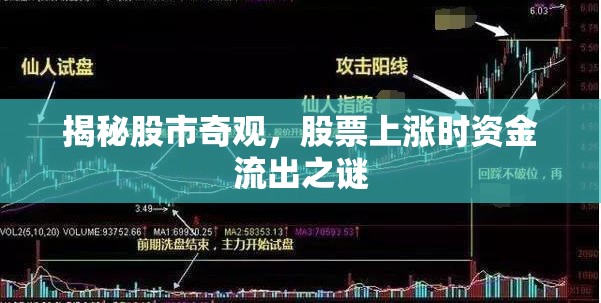 揭秘股市奇觀，股票上漲時資金流出之謎
