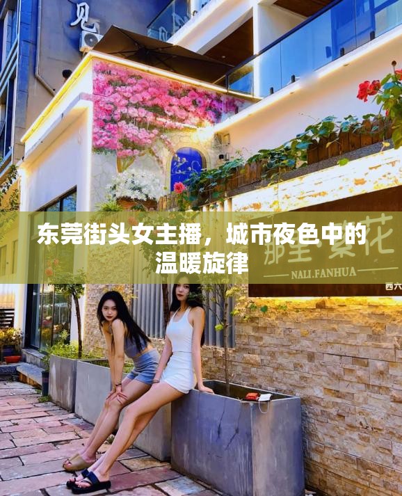 東莞街頭女主播，城市夜色中的溫暖旋律