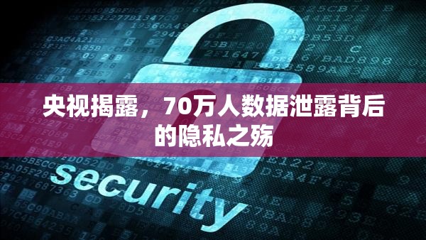 央視揭露，70萬人數(shù)據(jù)泄露背后的隱私之殤
