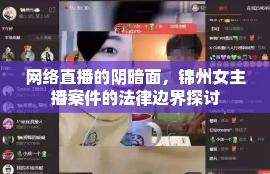 網(wǎng)絡(luò)直播的陰暗面，錦州女主播案件的法律邊界探討