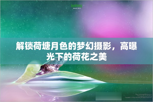 解鎖荷塘月色的夢幻攝影，高曝光下的荷花之美