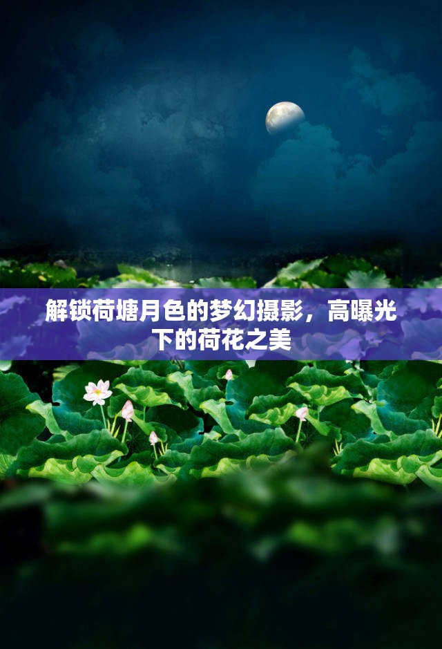 解鎖荷塘月色的夢幻攝影，高曝光下的荷花之美