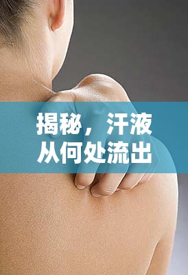 揭秘，汗液從何處流出？