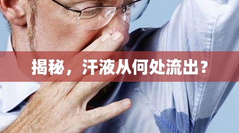 揭秘，汗液從何處流出？