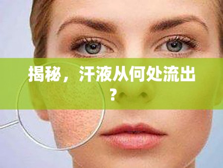 揭秘，汗液從何處流出？