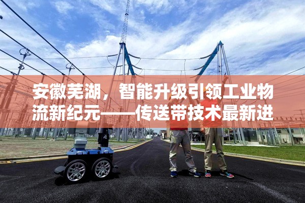 安徽蕪湖，智能升級引領工業(yè)物流新紀元——傳送帶技術最新進展深度解析
