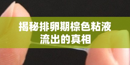 揭秘排卵期棕色粘液流出的真相