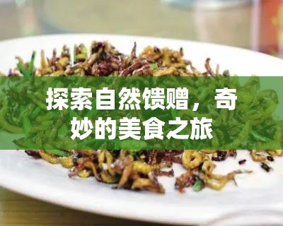 探索自然饋贈，奇妙的美食之旅