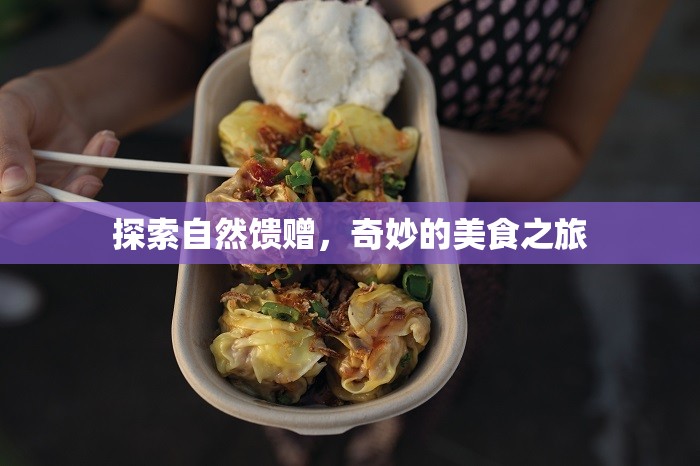 探索自然饋贈，奇妙的美食之旅