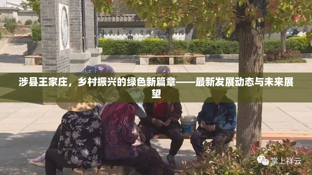 涉縣王家莊，鄉(xiāng)村振興的綠色新篇章——最新發(fā)展動(dòng)態(tài)與未來展望