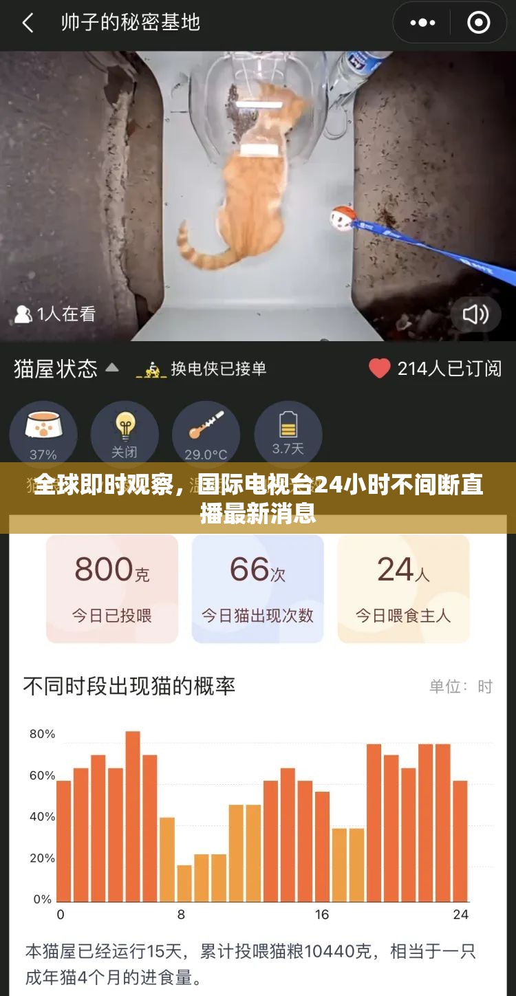 全球即時(shí)觀察，國(guó)際電視臺(tái)24小時(shí)不間斷直播最新消息