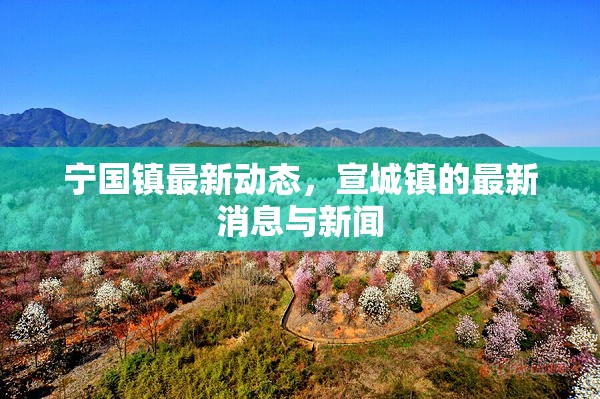 寧國鎮(zhèn)最新動態(tài)，宣城鎮(zhèn)的最新消息與新聞