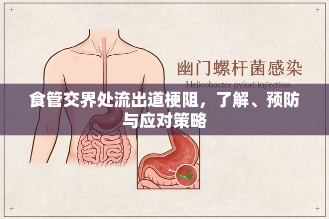 食管交界處流出道梗阻，了解、預(yù)防與應(yīng)對策略