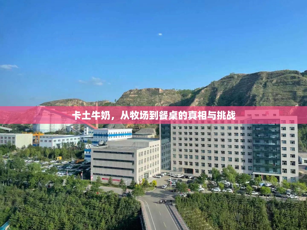 卡土牛奶，從牧場(chǎng)到餐桌的真相與挑戰(zhàn)