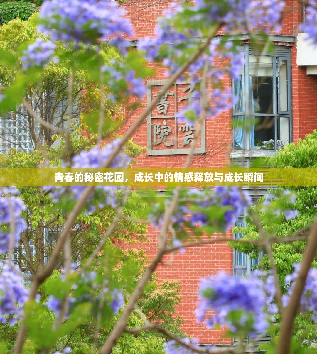 青春的秘密花園，成長中的情感釋放與成長瞬間