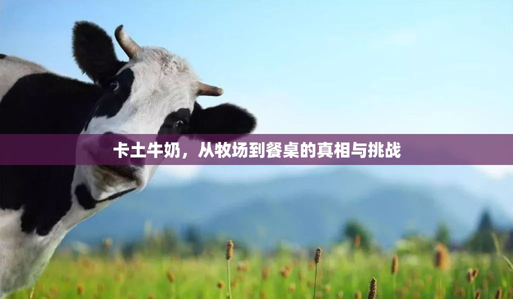 卡土牛奶，從牧場(chǎng)到餐桌的真相與挑戰(zhàn)
