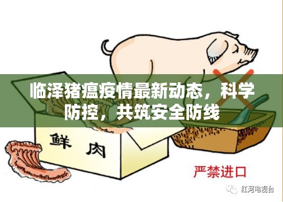 臨澤豬瘟疫情最新動(dòng)態(tài)，科學(xué)防控，共筑安全防線(xiàn)