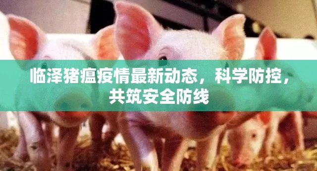臨澤豬瘟疫情最新動(dòng)態(tài)，科學(xué)防控，共筑安全防線(xiàn)