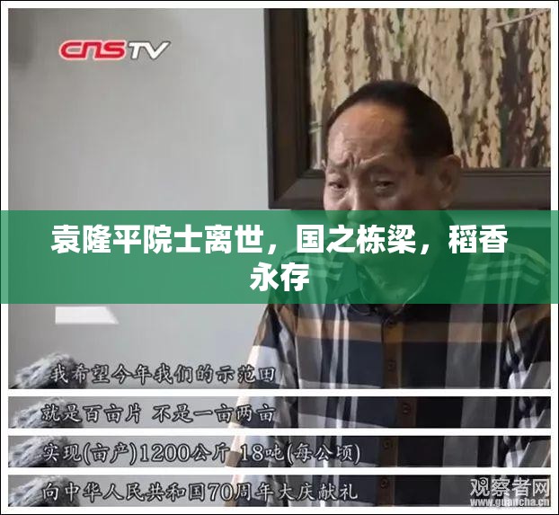 袁隆平院士離世，國之棟梁，稻香永存