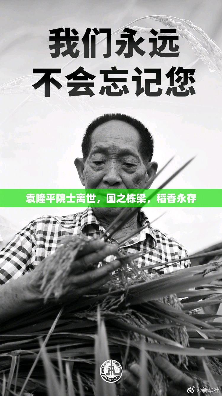 袁隆平院士離世，國之棟梁，稻香永存