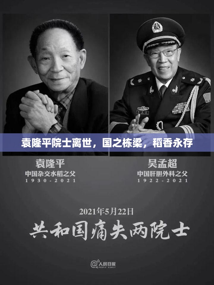 袁隆平院士離世，國之棟梁，稻香永存