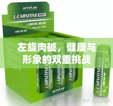 左旋肉堿，健康與形象的雙重挑戰(zhàn)