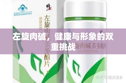 左旋肉堿，健康與形象的雙重挑戰(zhàn)