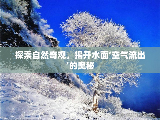 探索自然奇觀，揭開水面‘空氣流出’的奧秘