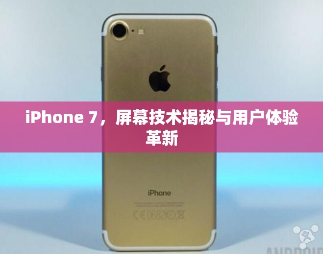 iPhone 7，屏幕技術(shù)揭秘與用戶體驗(yàn)革新