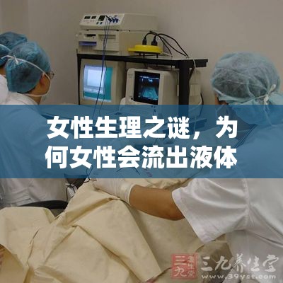 女性生理之謎，為何女性會流出液體？