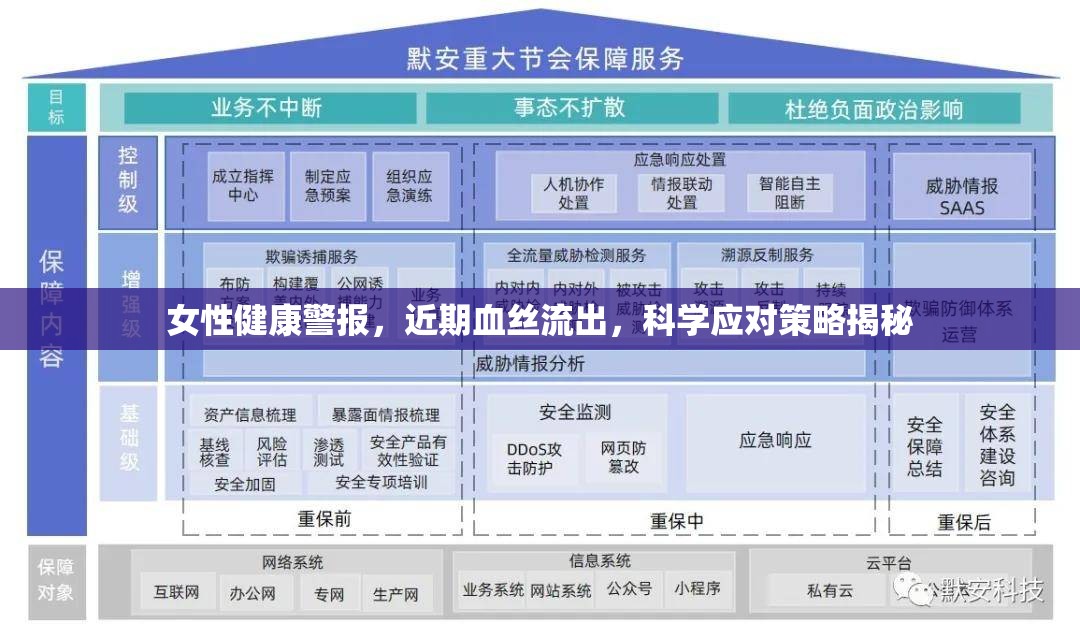 女性健康警報(bào)，近期血絲流出，科學(xué)應(yīng)對(duì)策略揭秘