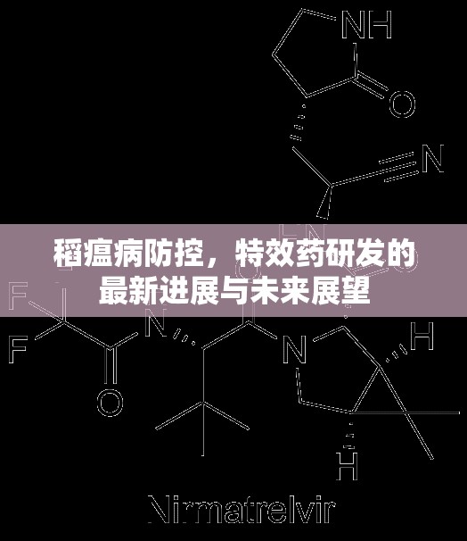 稻瘟病防控，特效藥研發(fā)的最新進展與未來展望