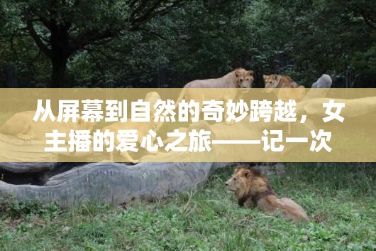 從屏幕到自然的奇妙跨越，女主播的愛(ài)心之旅——記一次特別的動(dòng)物領(lǐng)養(yǎng)直播
