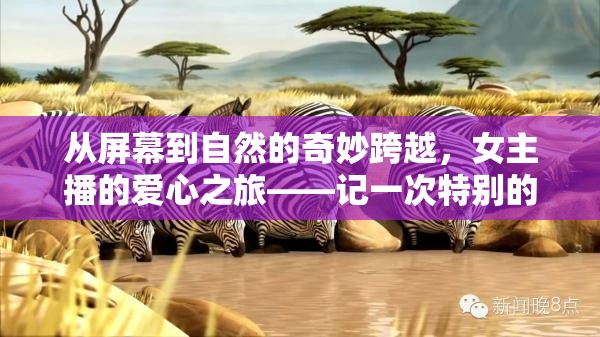 從屏幕到自然的奇妙跨越，女主播的愛(ài)心之旅——記一次特別的動(dòng)物領(lǐng)養(yǎng)直播