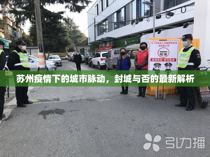蘇州疫情下的城市脈動，封城與否的最新解析