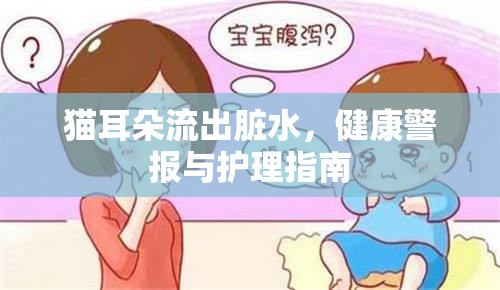 貓耳朵流出臟水，健康警報與護理指南