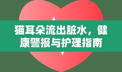 貓耳朵流出臟水，健康警報與護理指南