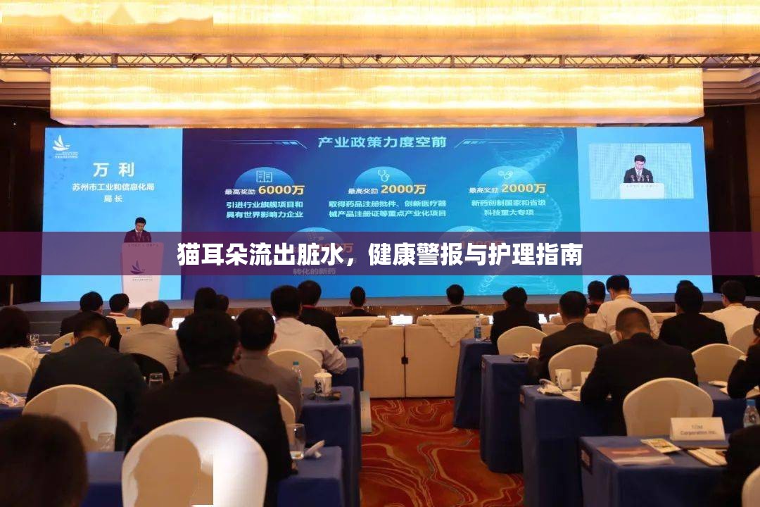 貓耳朵流出臟水，健康警報與護理指南