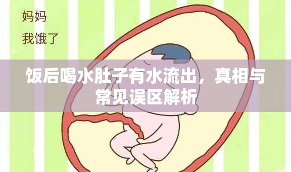 飯后喝水肚子有水流出，真相與常見誤區(qū)解析