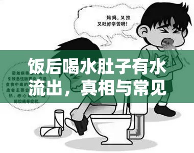 飯后喝水肚子有水流出，真相與常見誤區(qū)解析