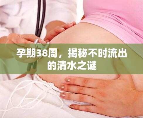 孕期38周，揭秘不時流出的清水之謎