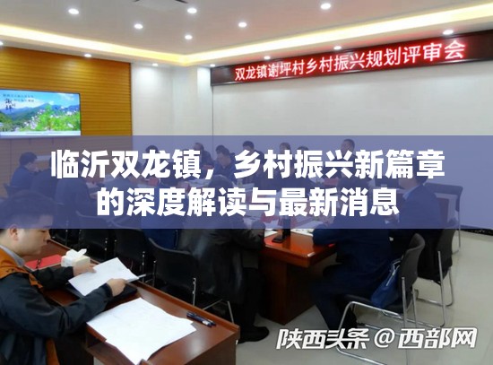臨沂雙龍鎮(zhèn)，鄉(xiāng)村振興新篇章的深度解讀與最新消息