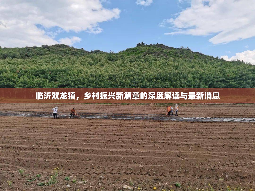 臨沂雙龍鎮(zhèn)，鄉(xiāng)村振興新篇章的深度解讀與最新消息