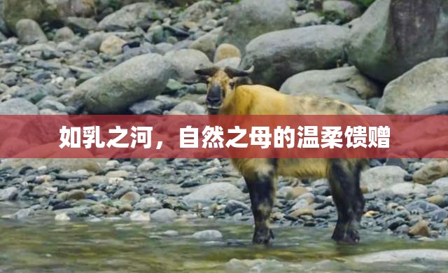 如乳之河，自然之母的溫柔饋贈(zèng)
