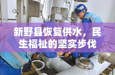 新野縣恢復(fù)供水，民生福祉的堅(jiān)實(shí)步伐