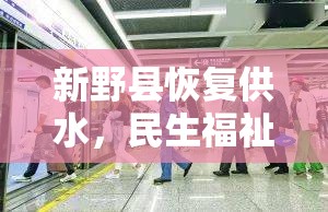 新野縣恢復(fù)供水，民生福祉的堅(jiān)實(shí)步伐