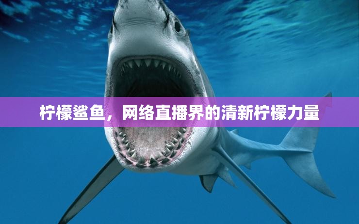 檸檬鯊魚，網(wǎng)絡(luò)直播界的清新檸檬力量