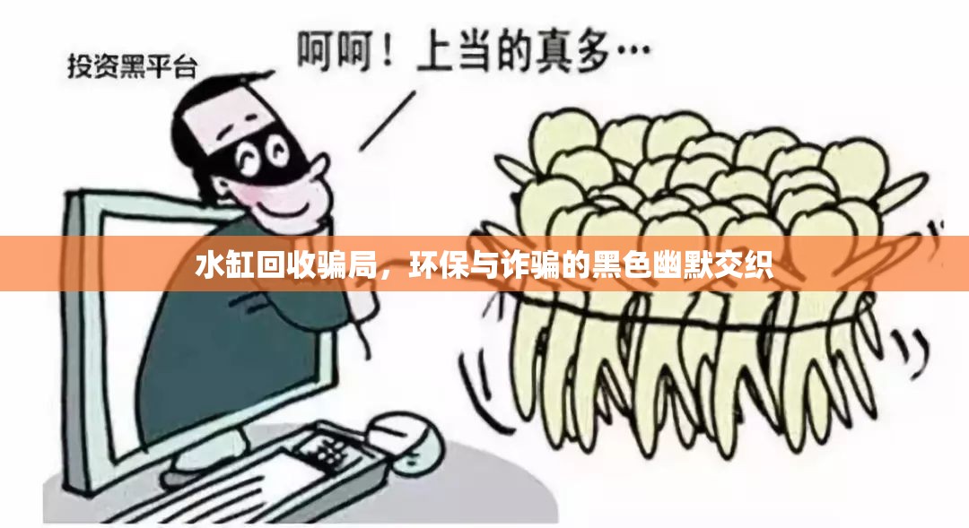 水缸回收騙局，環(huán)保與詐騙的黑色幽默交織